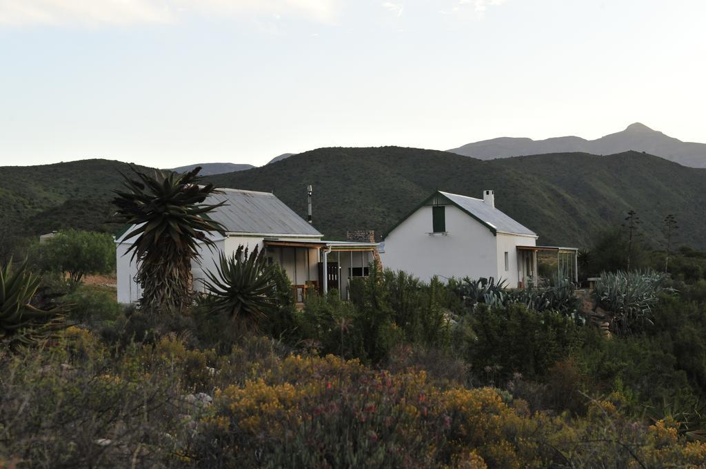 Matjiesvlei Guestfarm Villa Calitzdorp Eksteriør billede