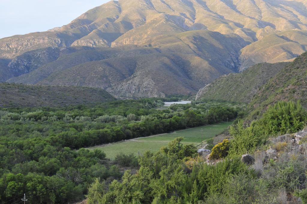 Matjiesvlei Guestfarm Villa Calitzdorp Eksteriør billede
